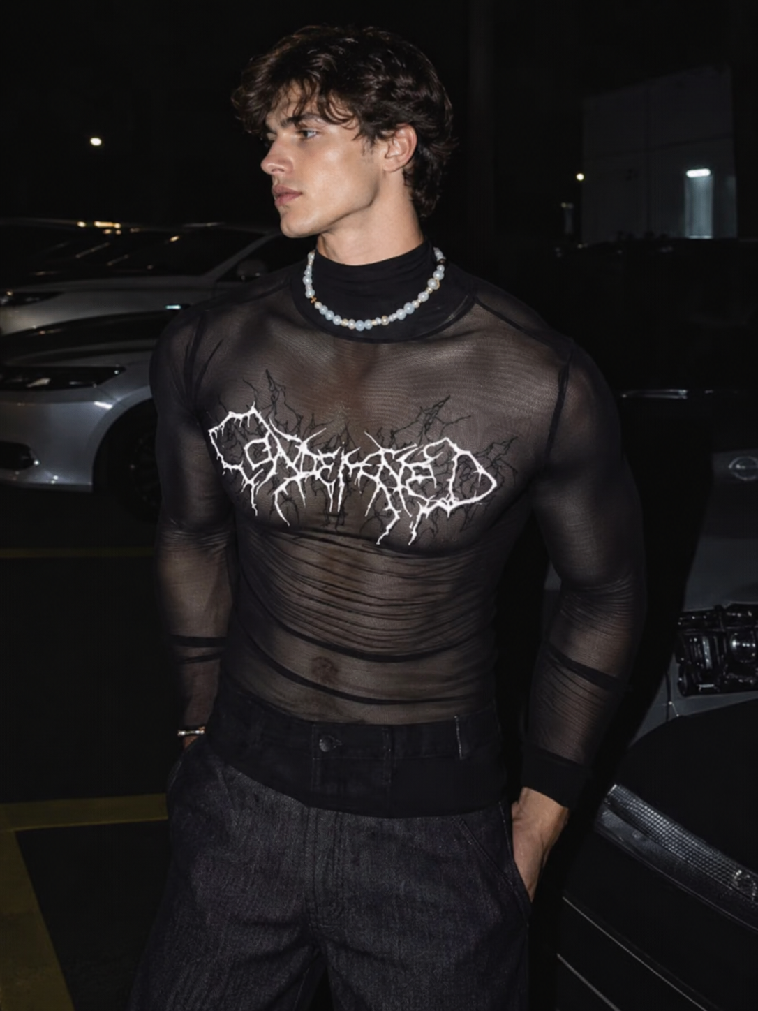 Sheer Graphic Long Sleeve Top